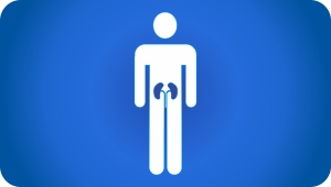 UROLOGÍA