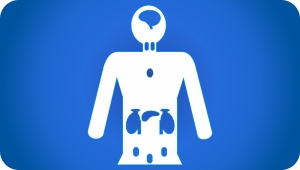 ENDOCRINOLOGÍA